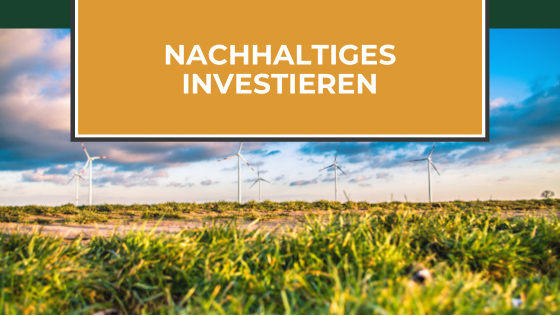 Read more about the article Die Zukunft des Investierens in Zeiten des Klimawandels